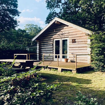 Knus Boomstamhuisje Op De Schatberg - Nabij Toverland Sevenum Exterior foto